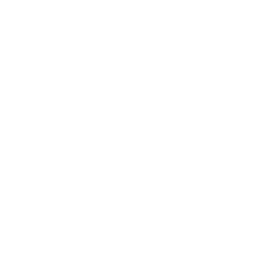 data icon